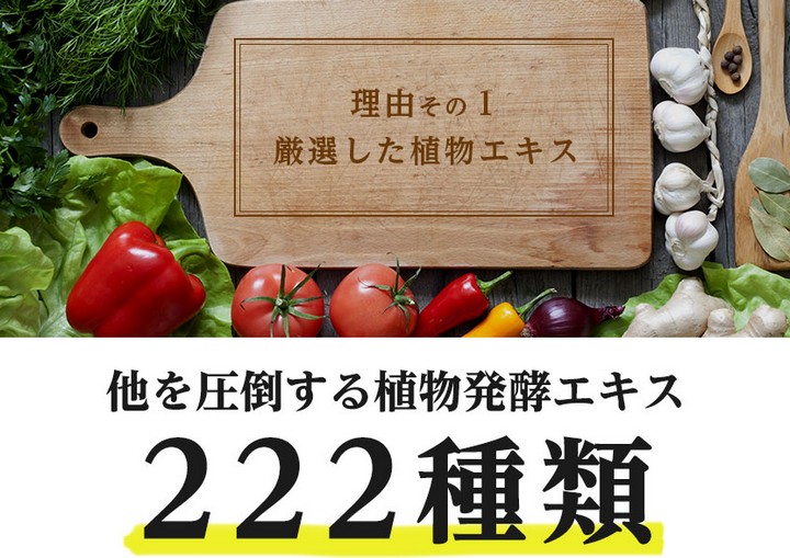 生酵素２２２